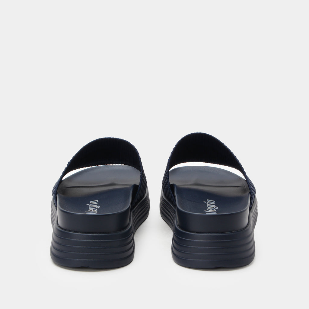 Akimi Navy Sandal | Alegria Shoes