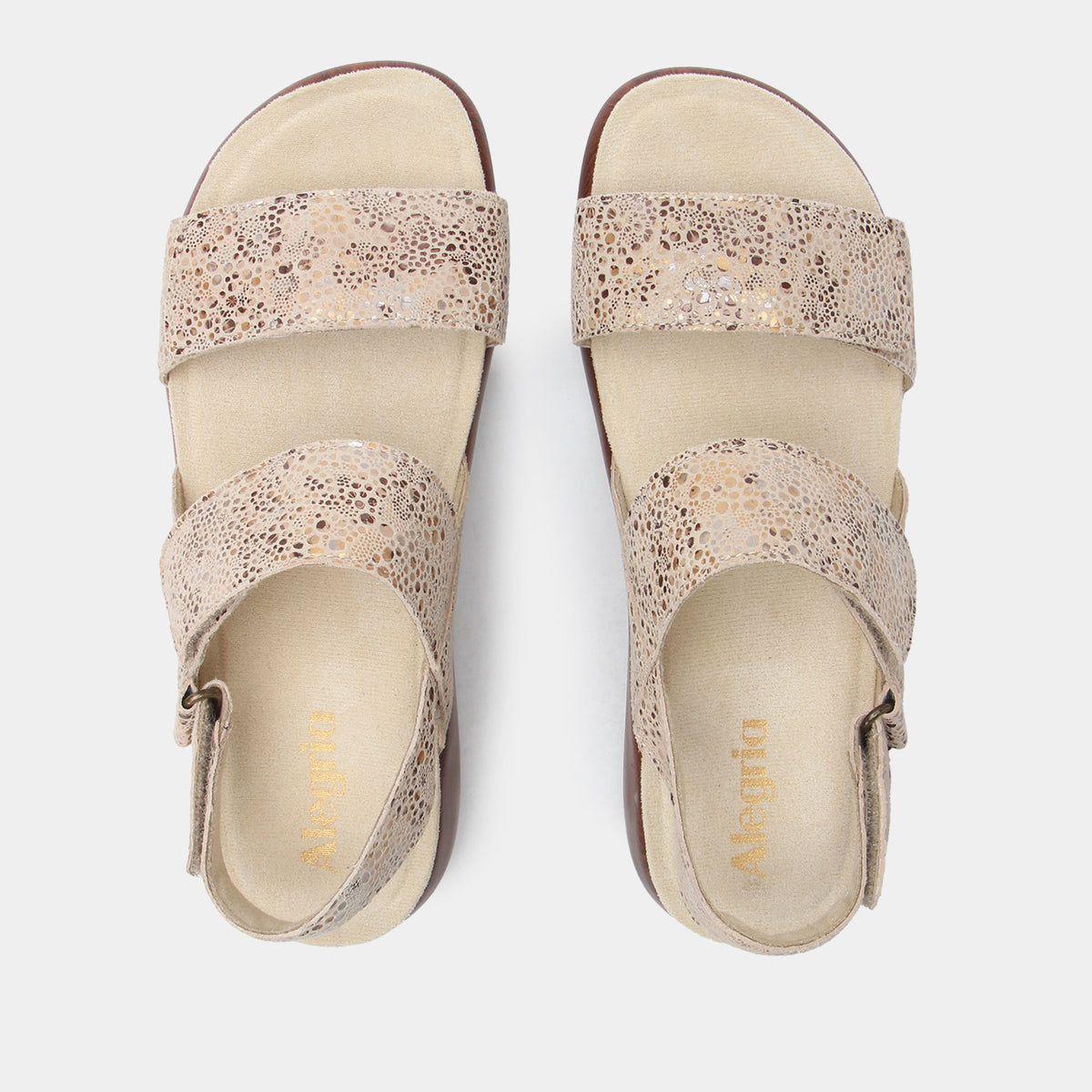 Bailee Walkway Sandal | Alegria Shoes