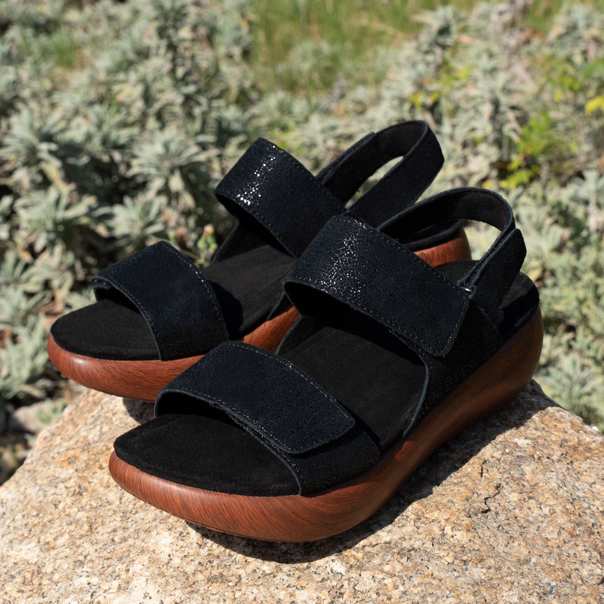 Bailee Crackle Black Sandal - Alegria Shoes
