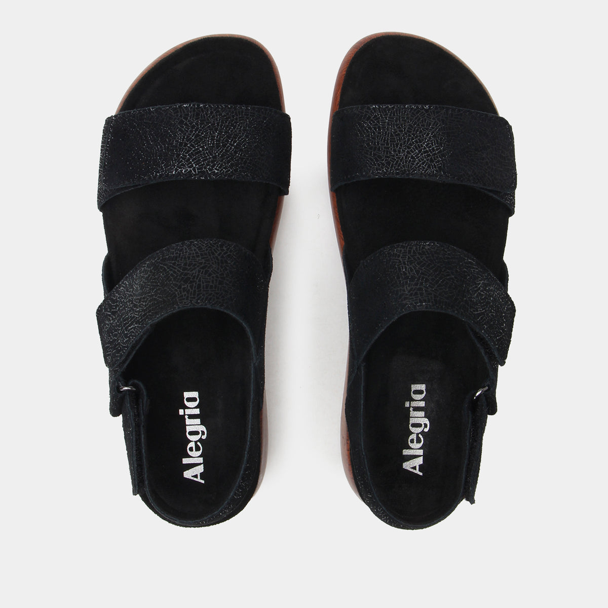 Bailee Crackle Black Sandal | Alegria Shoes