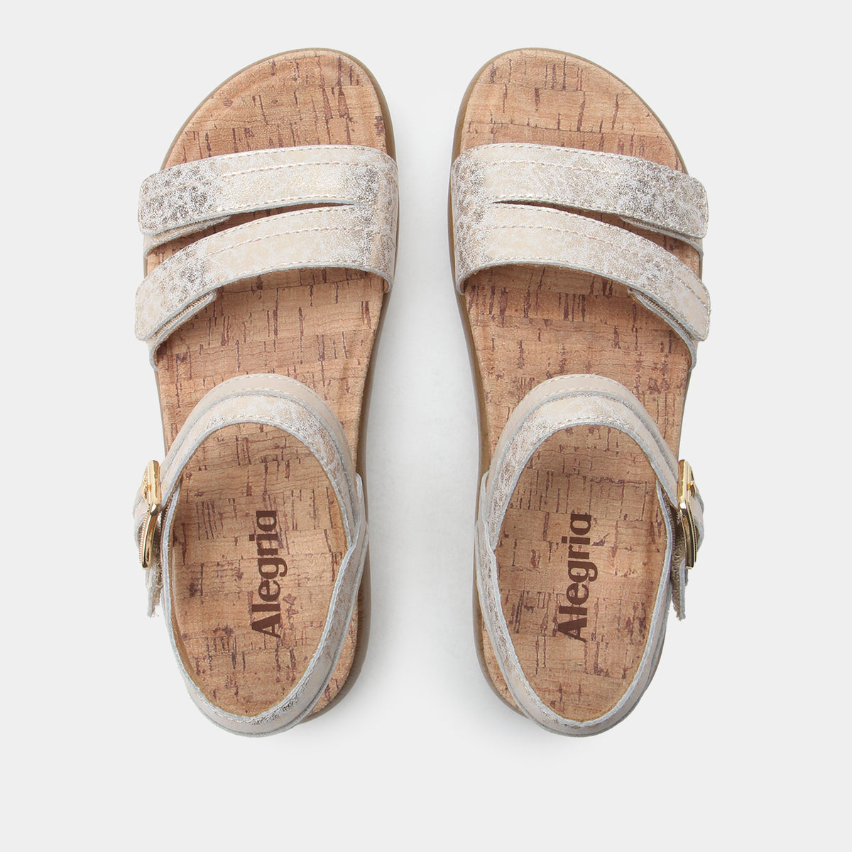Blinda Champagne Sandal | Alegria Shoes