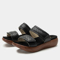 Brayah Black Sandal | Alegria Shoes