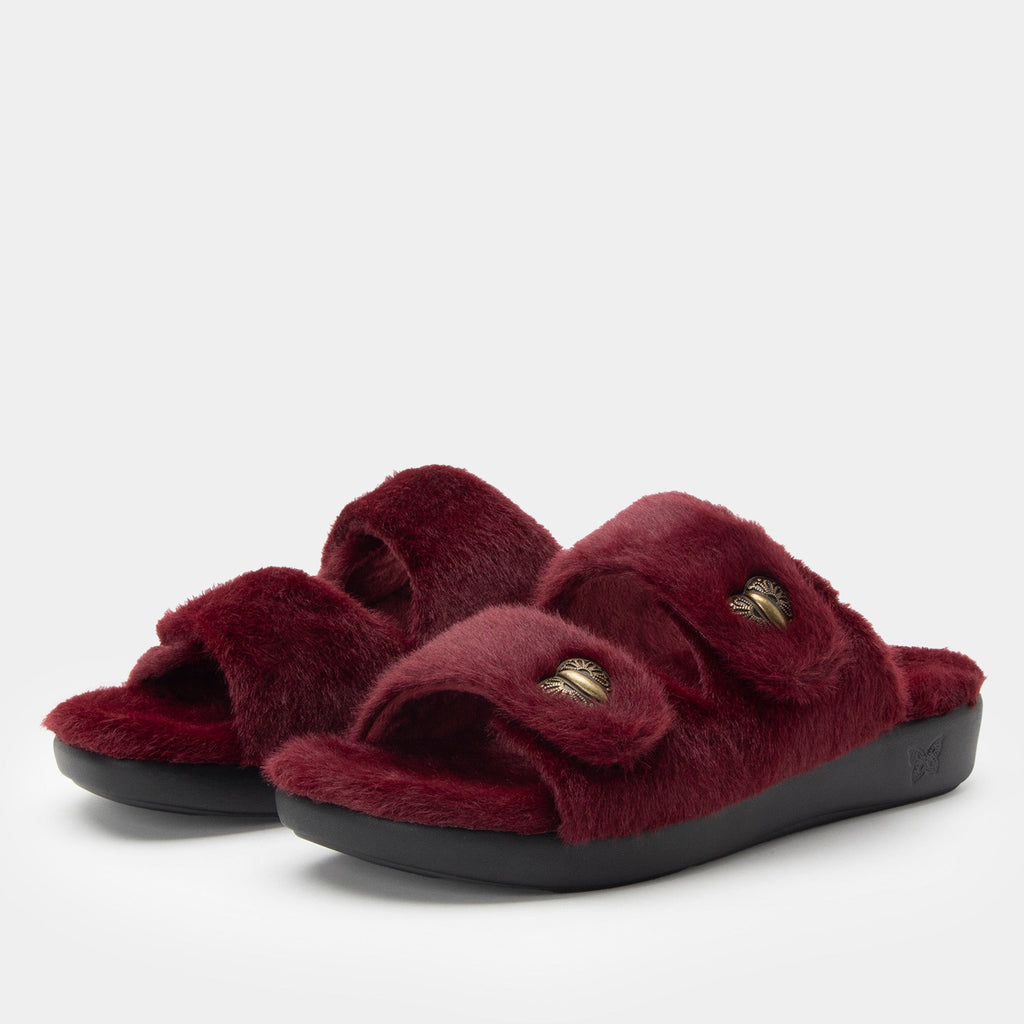Chillery Wine Slipper - Web Exclusive | Alegria Shoes