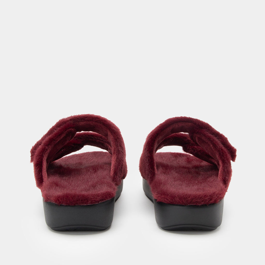 Chillery Wine Slipper - Web Exclusive | Alegria Shoes