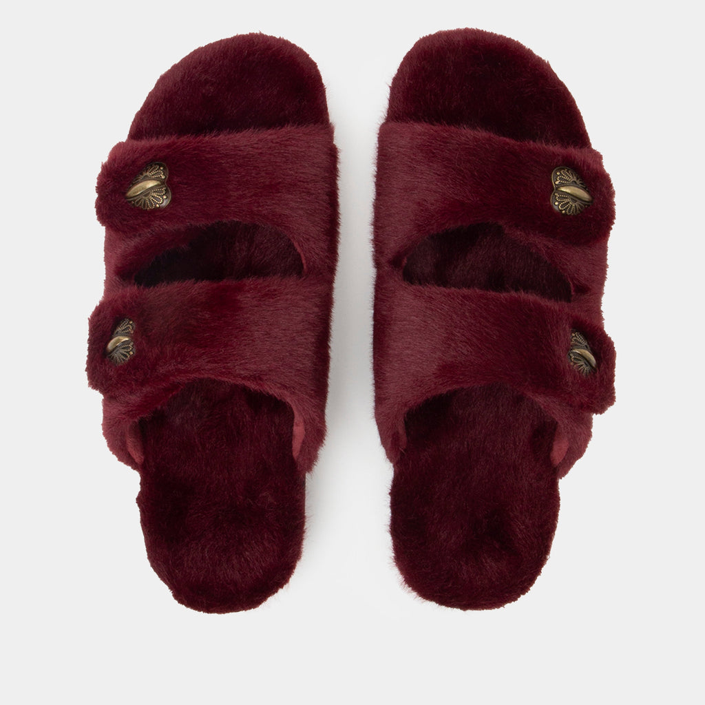 Chillery Wine Slipper - Web Exclusive | Alegria Shoes