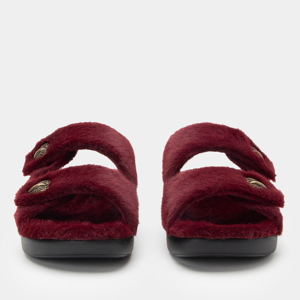 Chillery Wine Slipper - Web Exclusive | Alegria Shoes