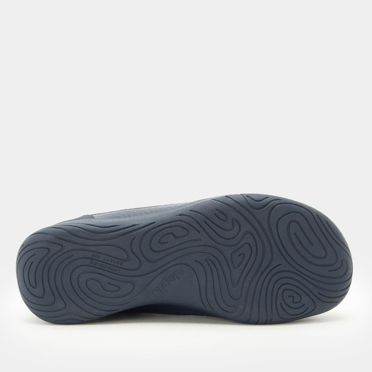 Jullia Navy Shoe