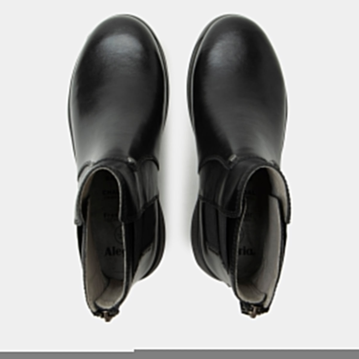 Jordyn Black Boot | Alegria Shoes