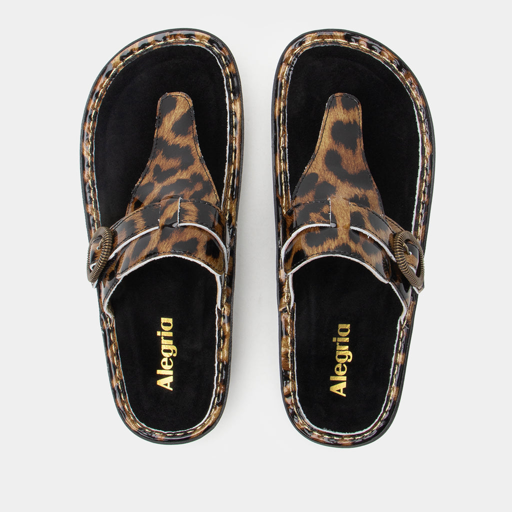 Kennedi Granimal Sandal | Alegria Shoes
