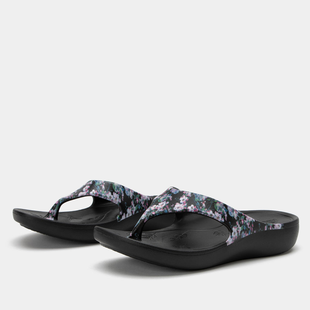 Ode Decorum Sandal | Alegria Shoes