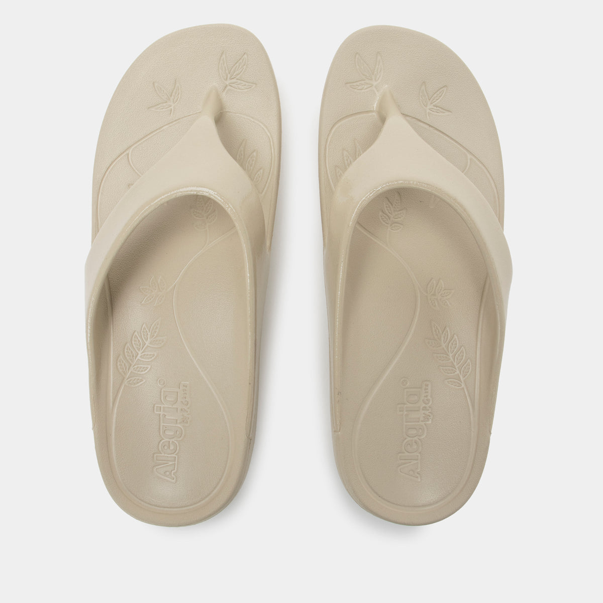 Ode Sand Gloss Sandal | Alegria Shoes
