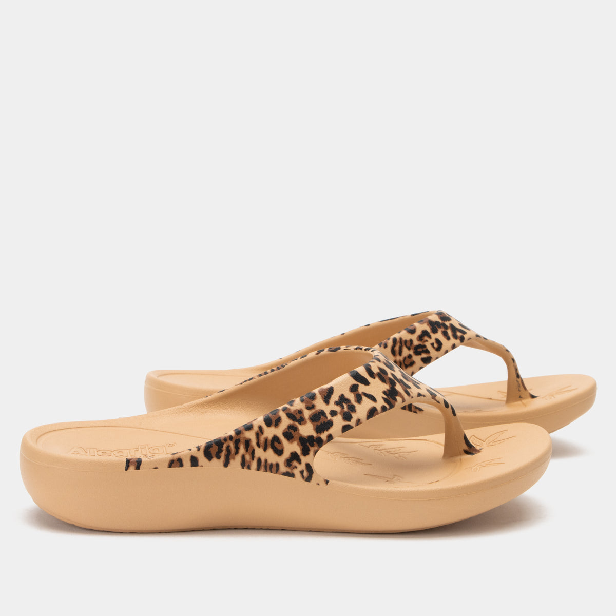 Ode Fierce Sandal | Alegria Shoes