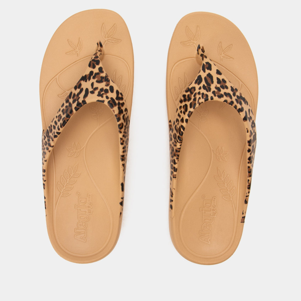 Ode Fierce Sandal | Alegria Shoes