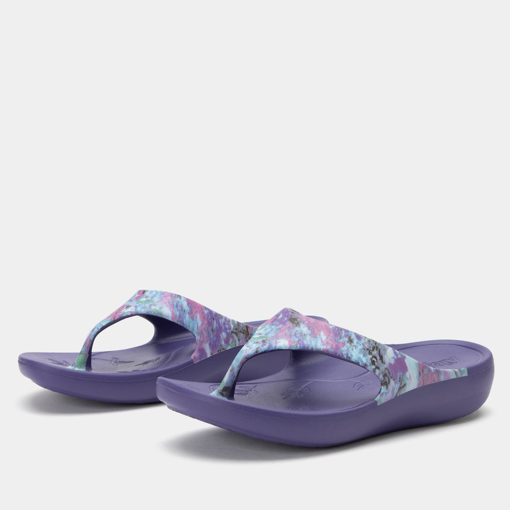 Ode Itchycoo Grey Sandal | Alegria Shoes