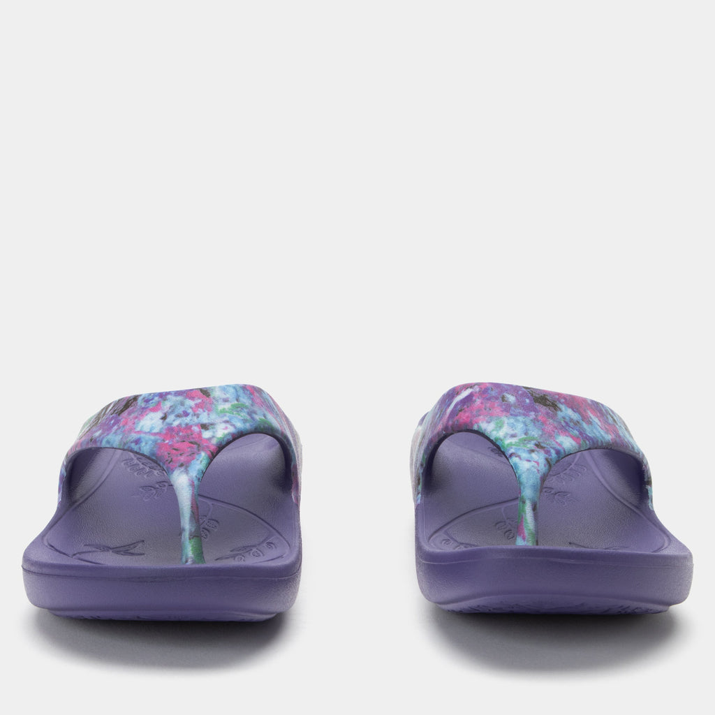 Ode Itchycoo Grey Sandal | Alegria Shoes