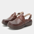Olanna Chestnut Shoe