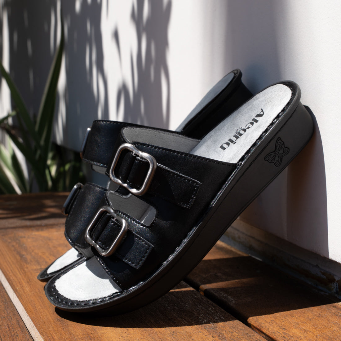 Verah Black Sandal | Alegria Shoes