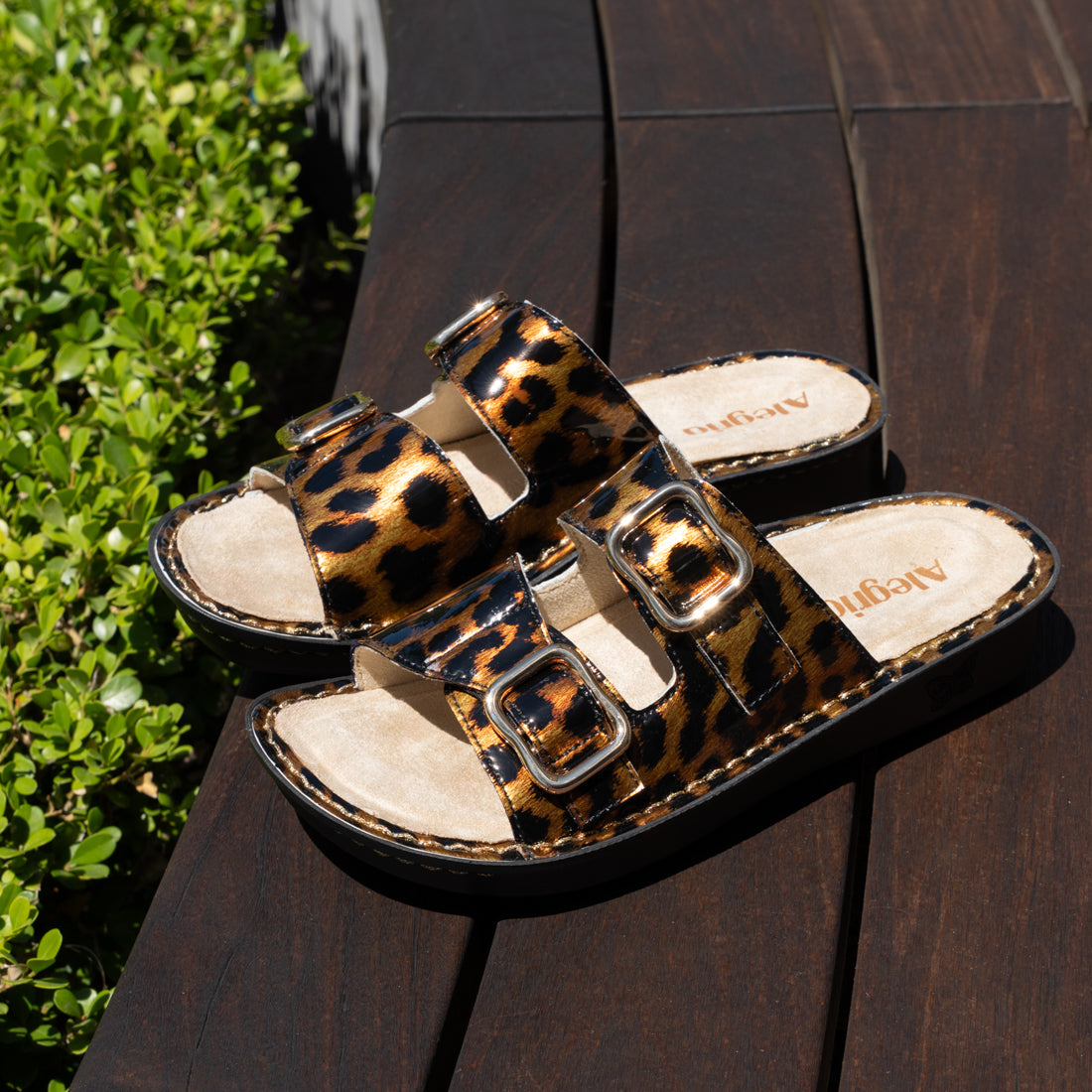 Verah Granimal Sandal | Alegria Shoes