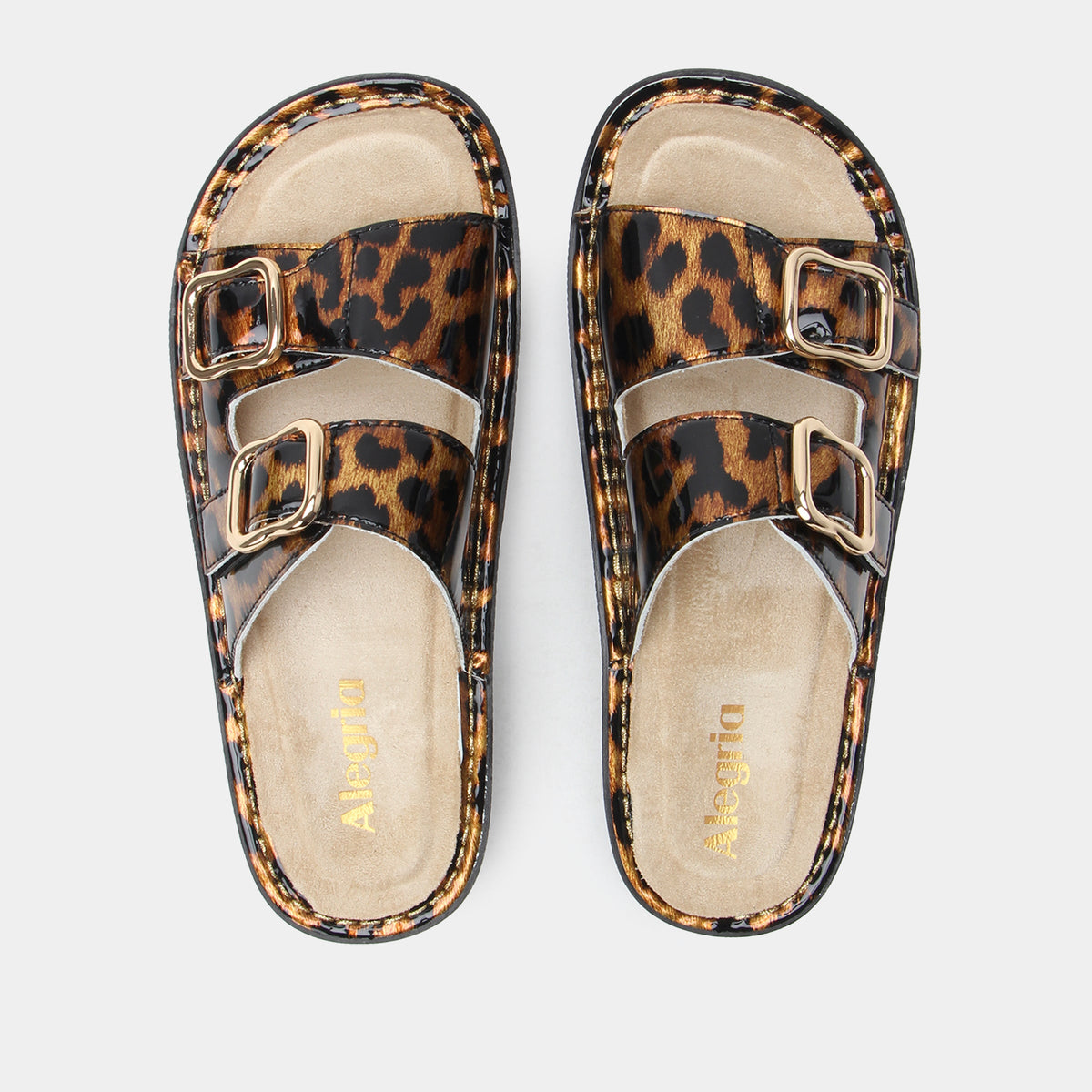 Verah Granimal Sandal | Alegria Shoes