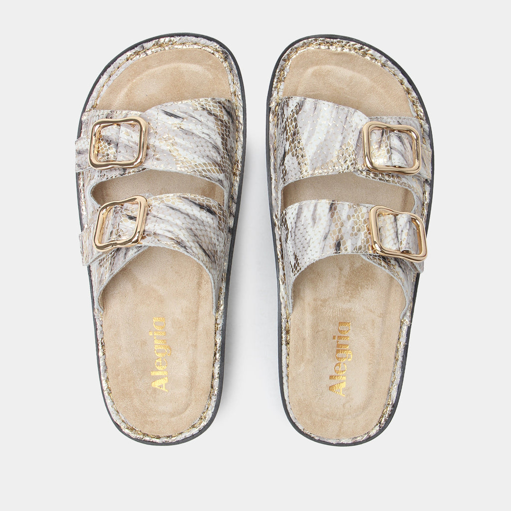 Verah Hoity Toity Sandal | Alegria Shoes