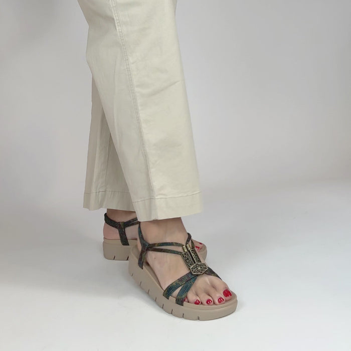 Roz Pretty Elite Sandal | Alegria Shoes