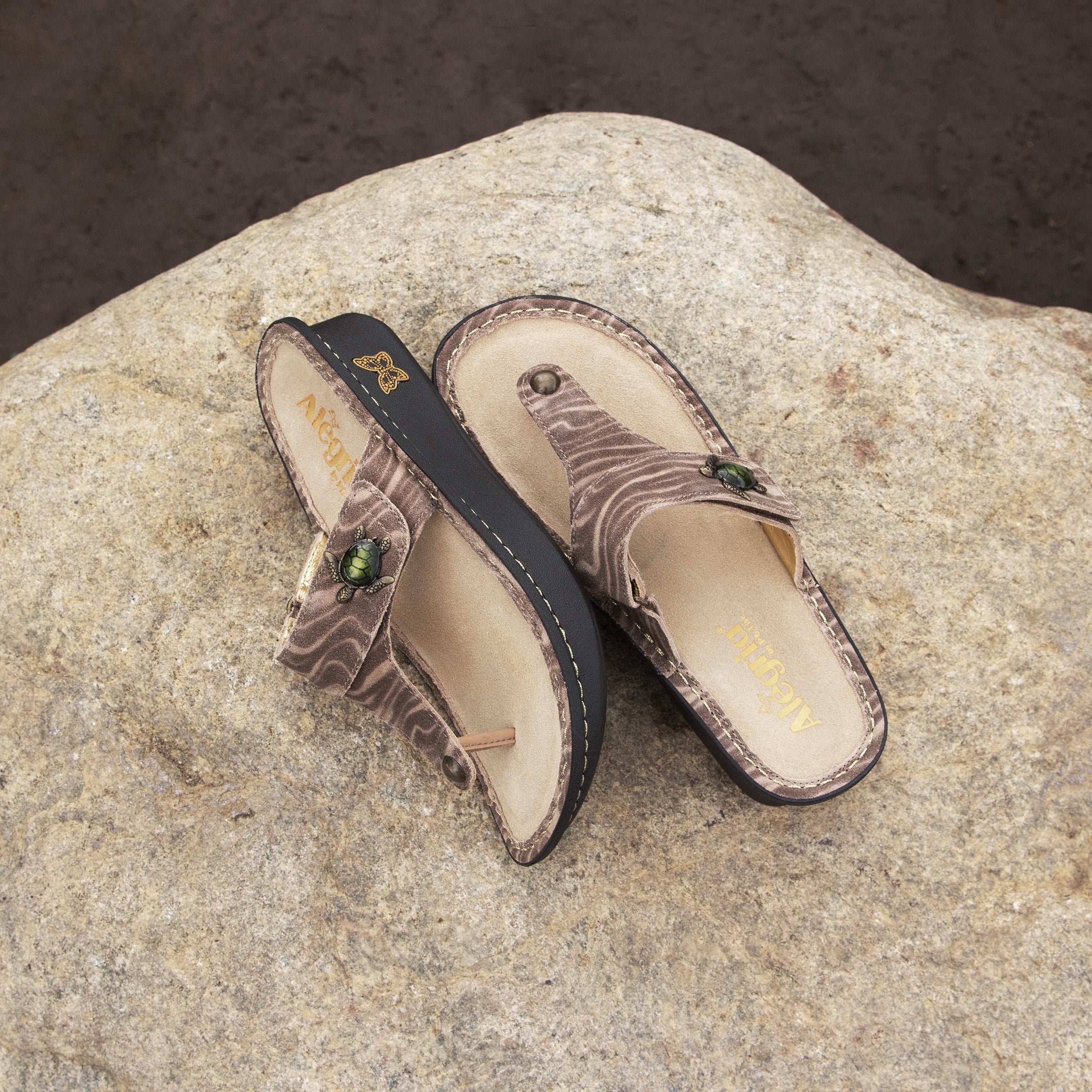 Carina Sea Turtle Sandal - Alegria Shoes