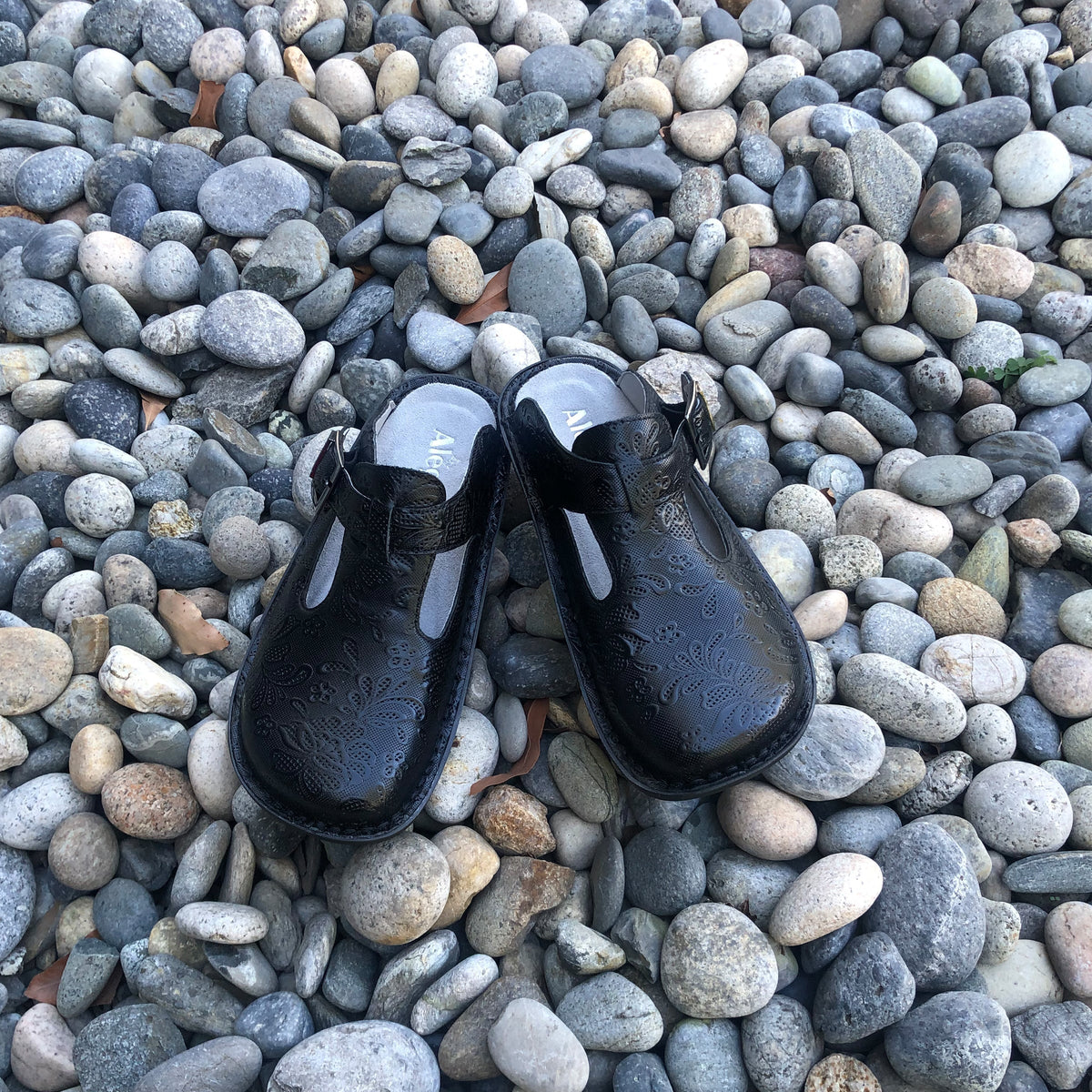 Classic Hello Doily Shoe | Alegria Shoes