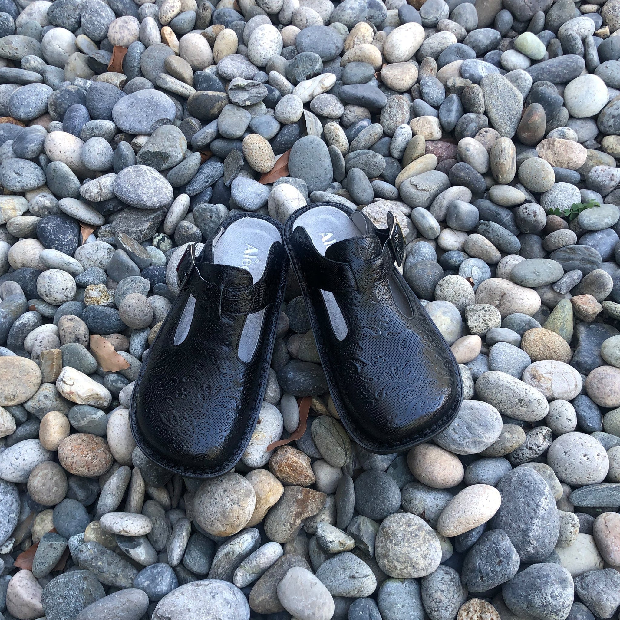 Classic Hello Doily Shoe - Alegria Shoes