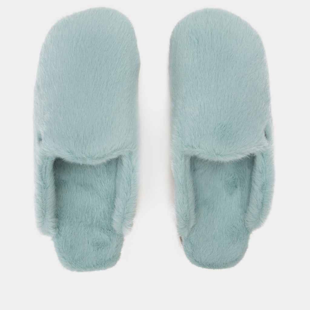 Leisurelee 2 Aqua Slipper | Alegria Shoes