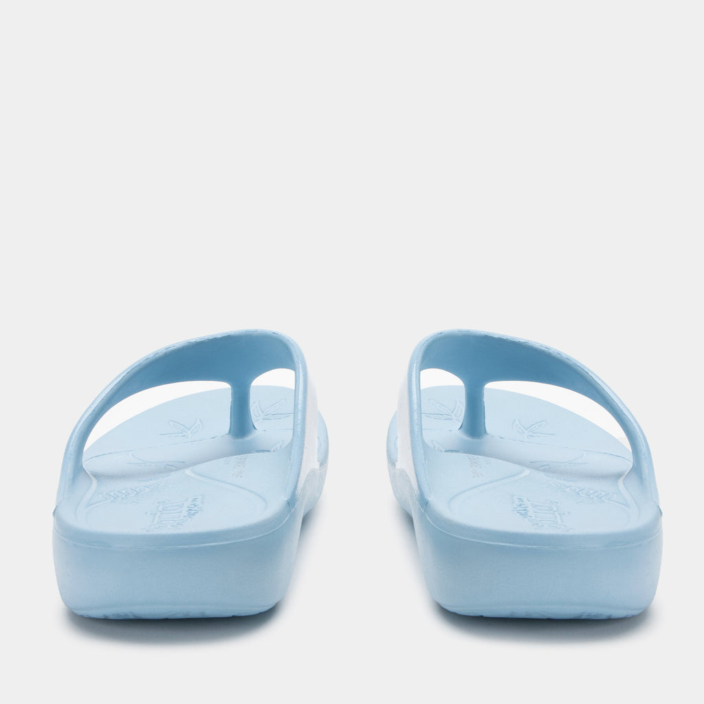 Ode Dusty Blue Gloss Sandal | Alegria Shoes