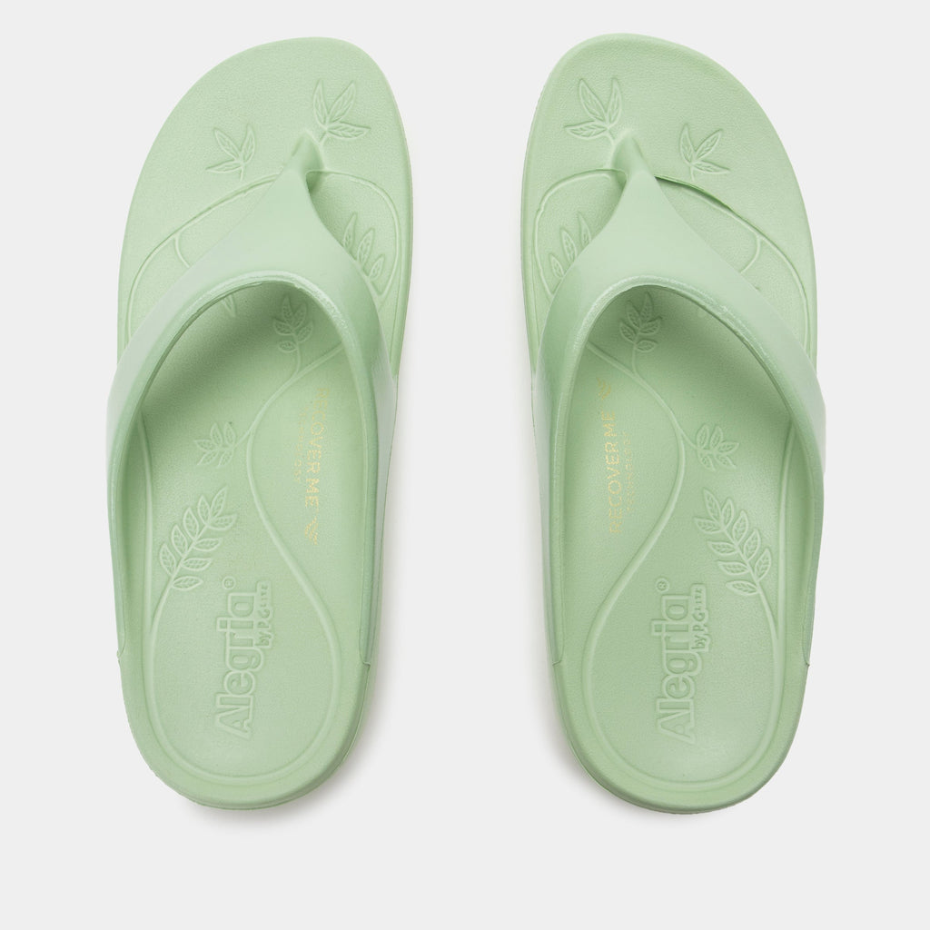 Ode Mint Gloss Sandal | Alegria Shoes