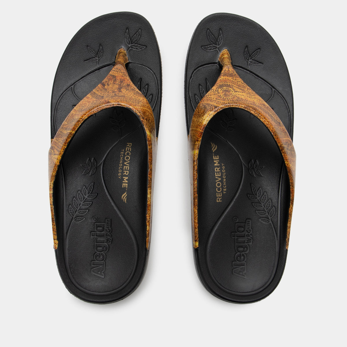 Ode Charmed Sandal | Alegria Shoes