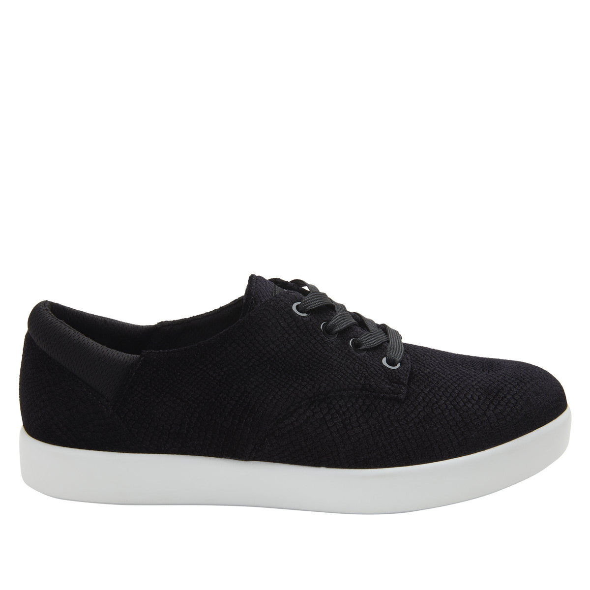 Poly Black Velvet Snake Shoe | Alegria Shoes