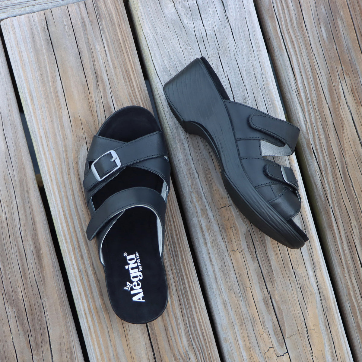 Sierra Coal Sandal | Alegria Shoes