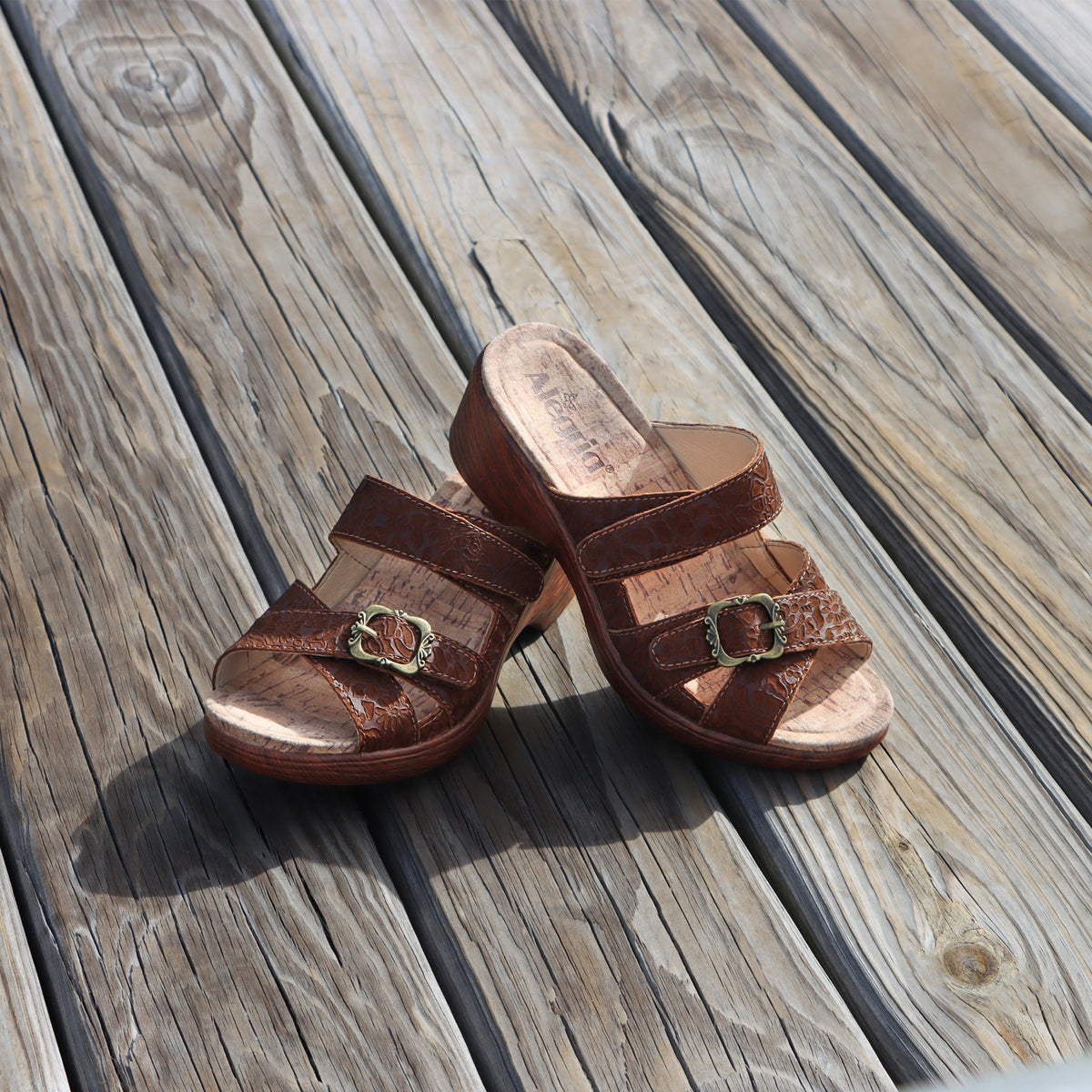 Sierra Delicut Tawny Sandal | Alegria Shoes