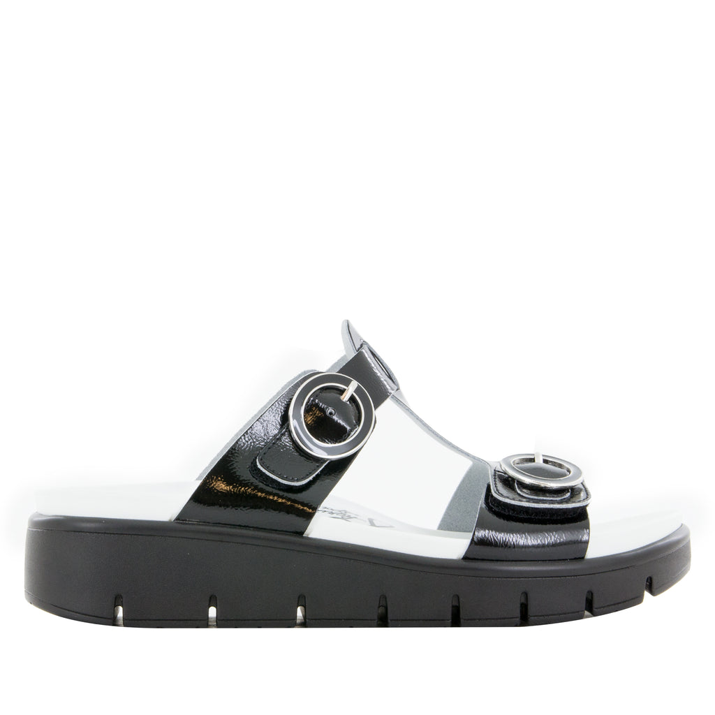 Vita Black Patent Sandal - Alegria Shoes